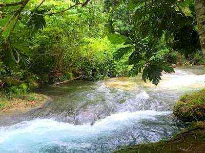 Crystal clear river flowing through jungle at Thatch Hill River, St. Ann