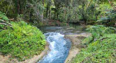 Emerald river pool at Calby's Hidden Beauty River, a secret spot in St. Ann