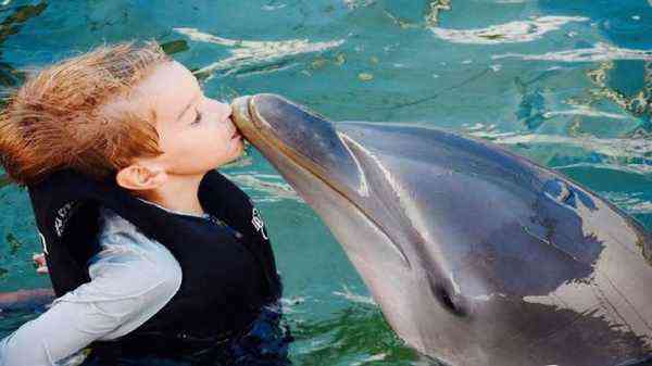 Dolphin Cove Ocho Rios Jamaica - family swimming with dolphins Caribbean