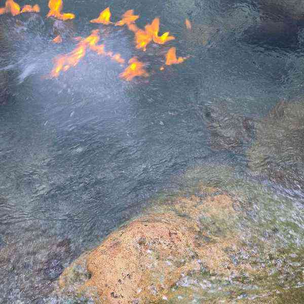 Jamaica Fire Water natural spring river Ocho Rios - clear water with golden orange fish